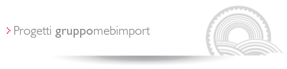 I Progetti Mebimport